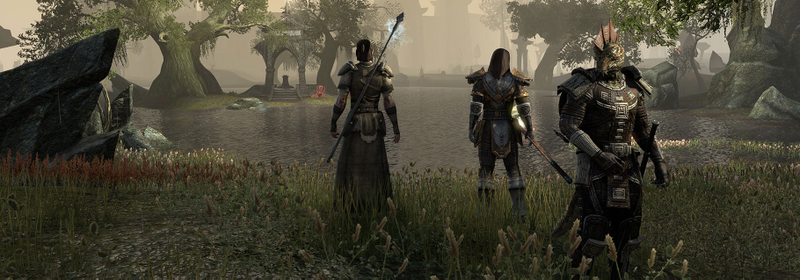 Illustration for article titled The Elder Scrolls Online is a big sandbox to explore, but you have to share
